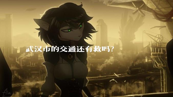 武汉市的交通还有救吗？