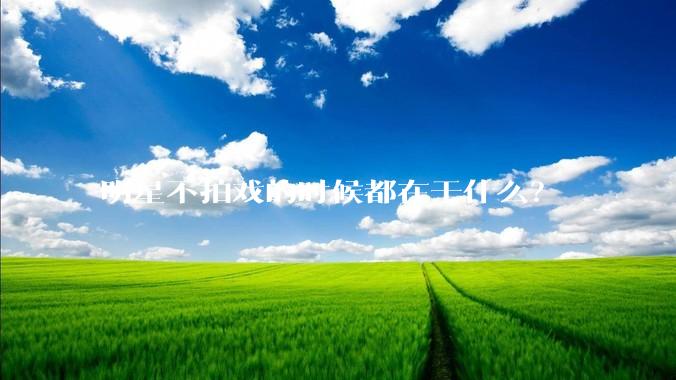 明星不拍戏的时候都在干什么？